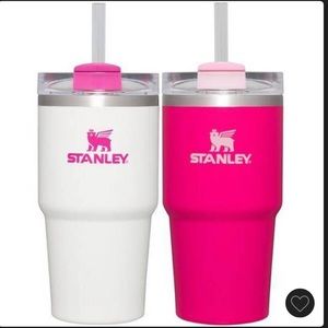 Stanley Quencher Tumbler 2 for pack